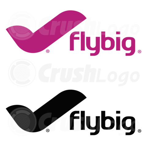 Flybig Logo